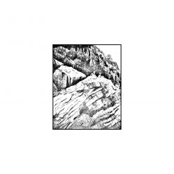 Infant Island | S/T 12"