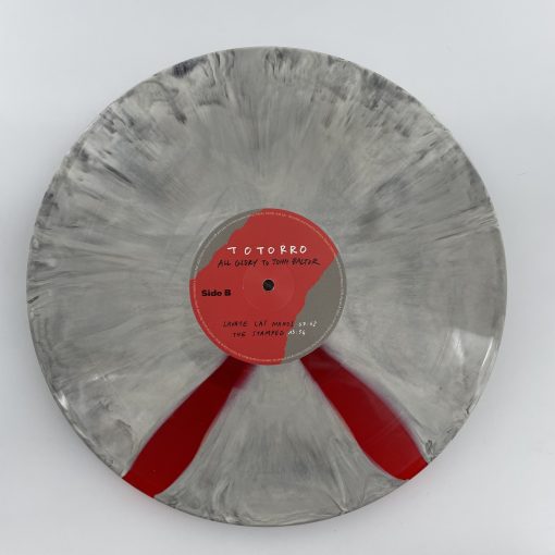 Voice Of The Unheard Records