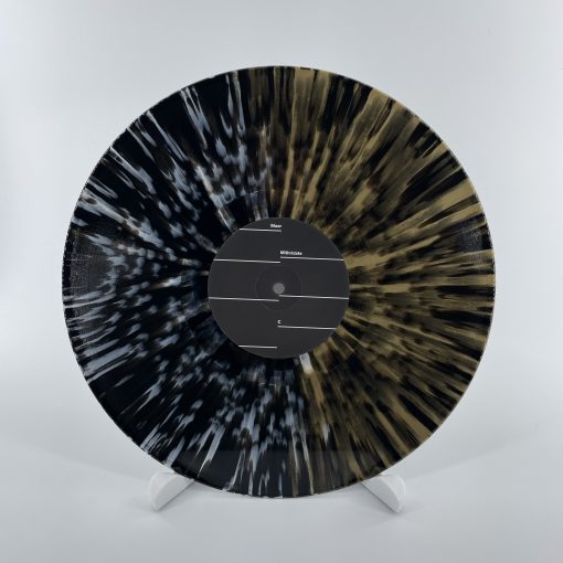 Voice Of The Unheard Records