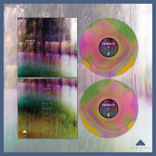 Voice Of The Unheard Records