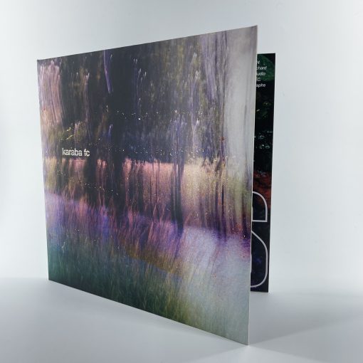 Voice Of The Unheard Records