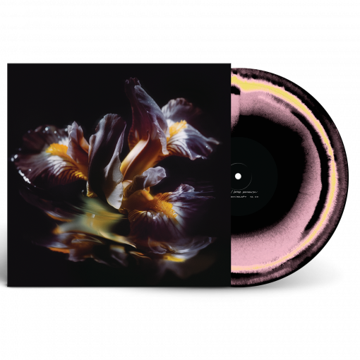 Voice Of The Unheard Records