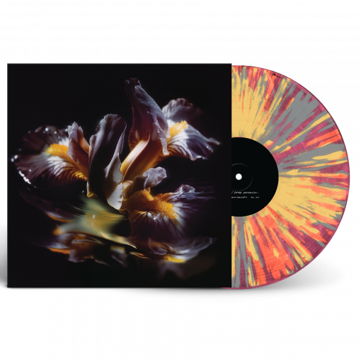 Voice Of The Unheard Records