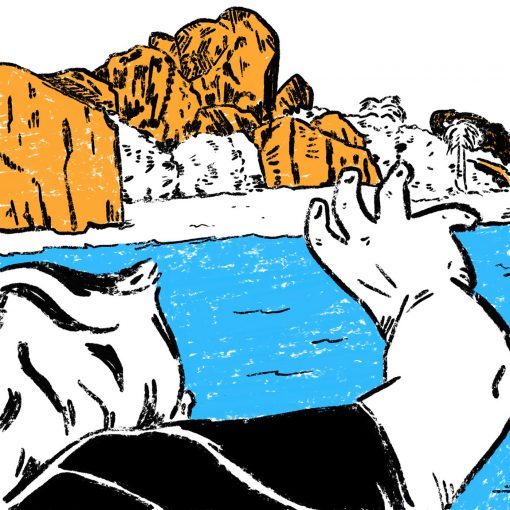 Voice Of The Unheard Records