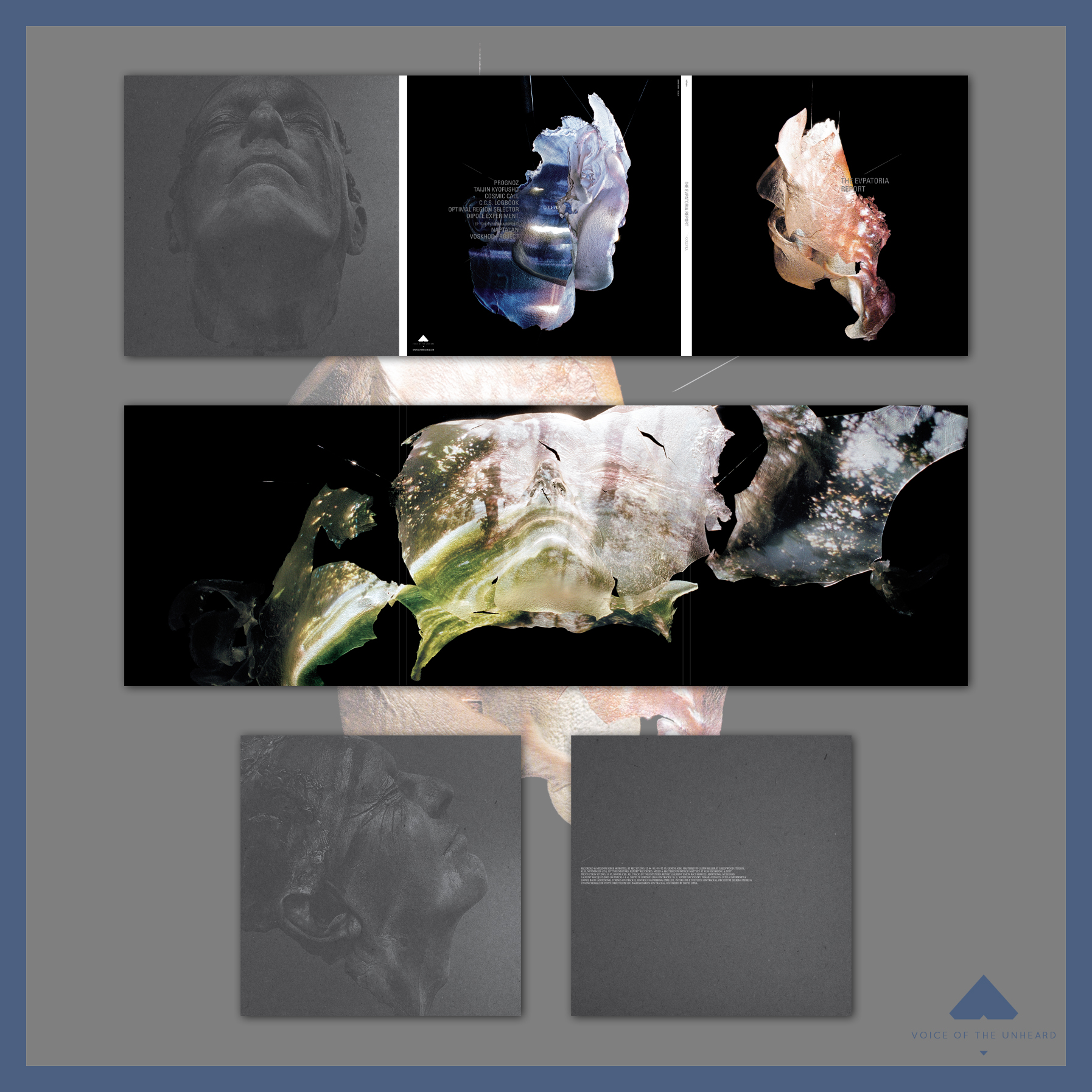 VOTU074.2: The Evpatoria Report | Golevka 2x12" - Smoke w/ Splatter - Image 4