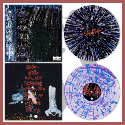 Voice Of The Unheard Records