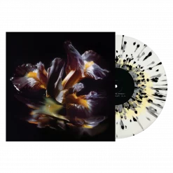 Raein | Forme Sommerse 12" - Clear w/ Yellow Center & Splatter