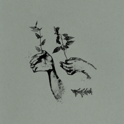 VIS036 : Rosemary Nods Upon The Grave | EP 1 & EP 2 12" LP