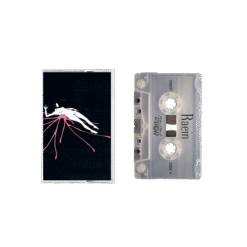 VIS037 : Raein / Daitro | Split Tape - Image 2