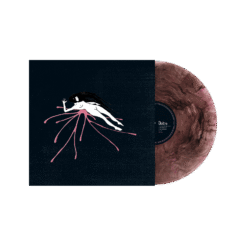 VIS037 : Raein / Daitro | Split 12" - Image 4