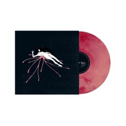 VIS037 : Raein / Daitro | Split 12" - Image 2